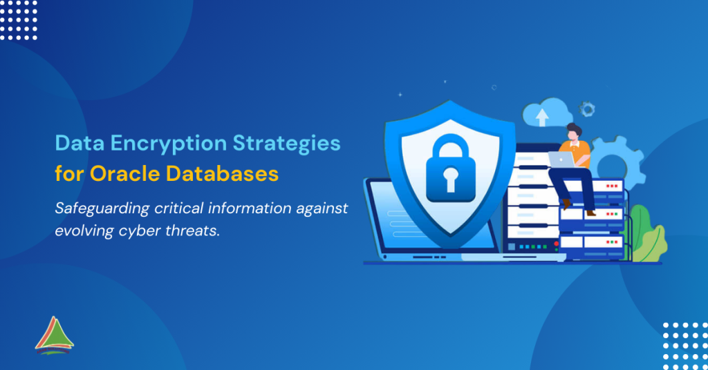 Data Encryption Strategies for Oracle Databases